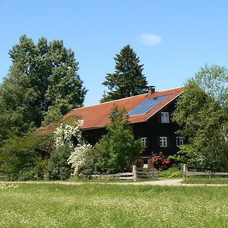 Ferienhof Hiemer Leilighet Sulzberg Eksteriør bilde